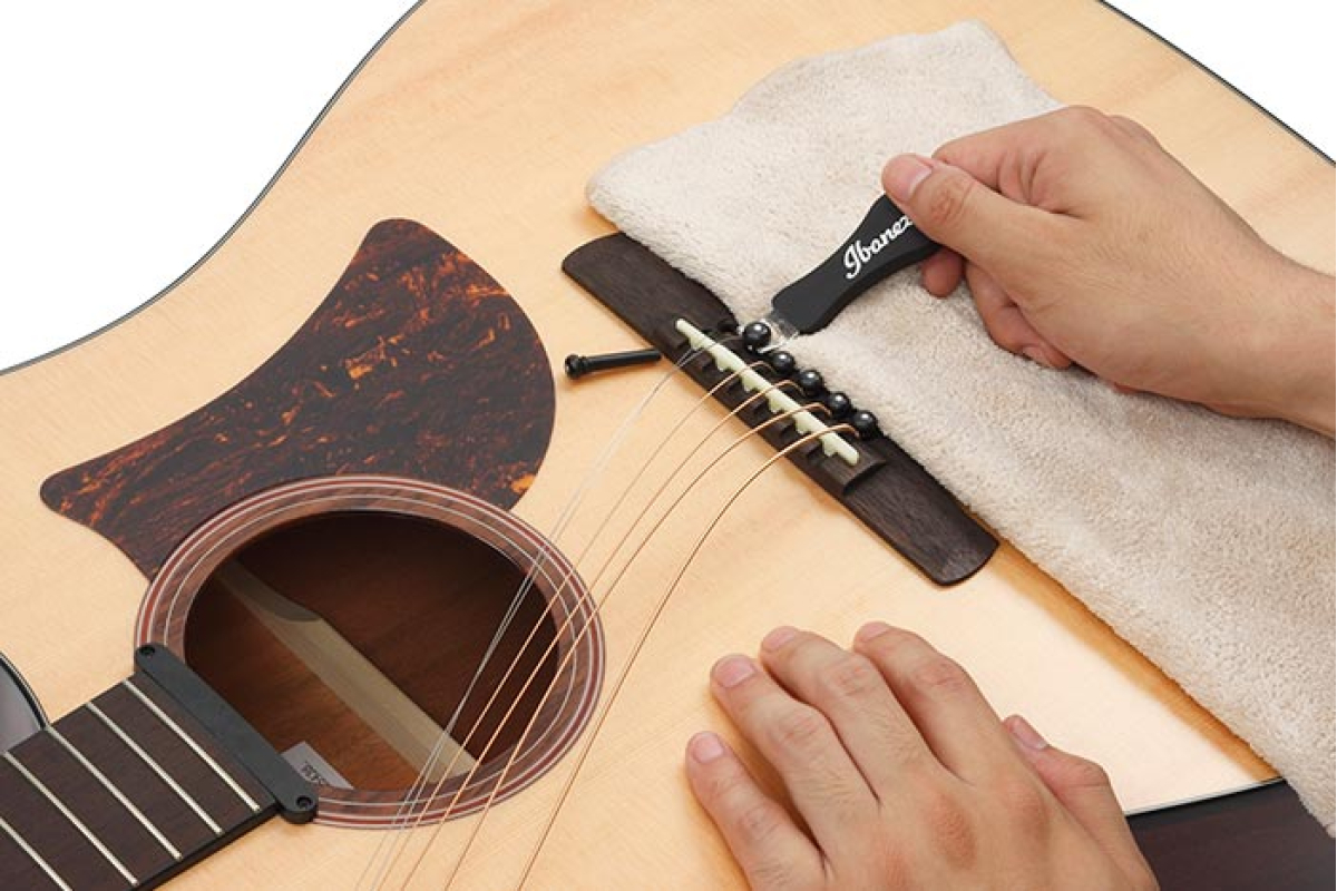 Аксесуари для гітар IBANEZ IPP10