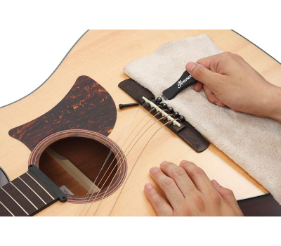 Аксесуари для гітар IBANEZ IPP10