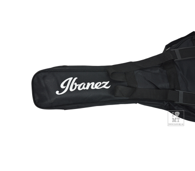 Чохол для класичної гітари IBANEZ ICB101