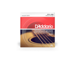 Струни для акустичних гітар D’ADDARIO PHOSPHOR BRONZE MEDIUM 13-56
