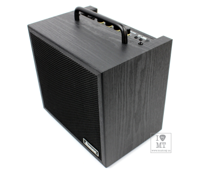 Гітарний комбопідсилювач IBANEZ IBZ10BV2
