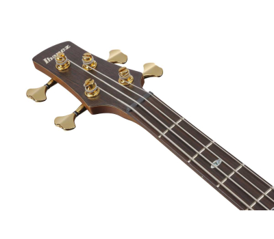 Бас-гітара IBANEZ SR3500-BK