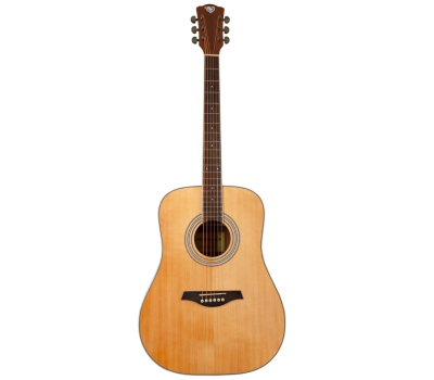 Гітара акустична ROCKDALE Maverick D6 Natural Gloss