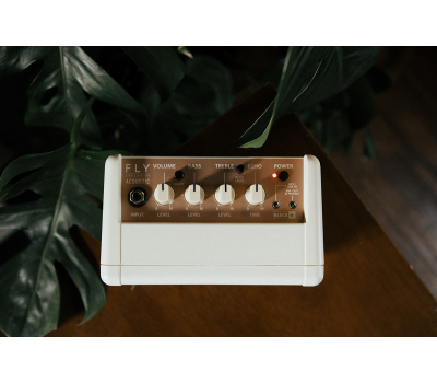 Гітарний комбопідсилювач BLACKSTAR FLY 3 ACOUSTIC