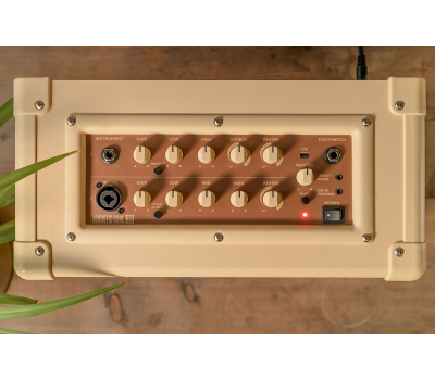 Гітарний комбопідсилювач BLACKSTAR ACOUSTIC:CORE 30