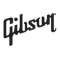 Офіційний представник GIBSON в Україні – Go Tuna: повний асортимент продукції